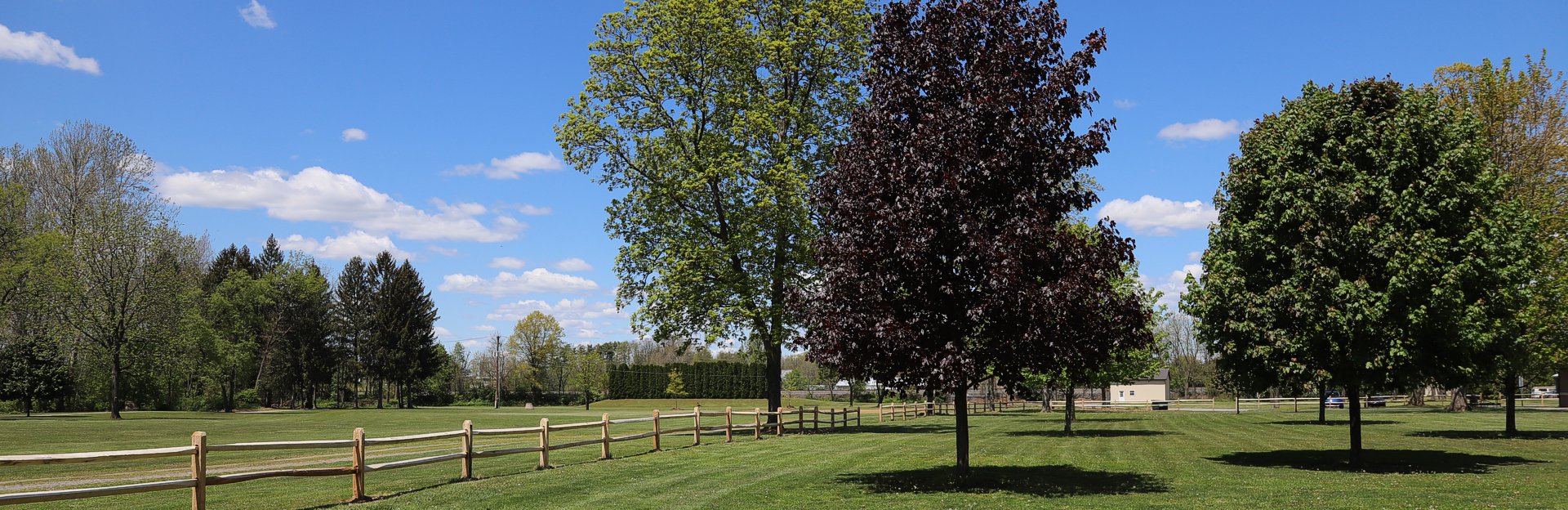 William Delong Memorial Park